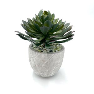 Wunderschönes künstliches Sukkulenten Arrangement