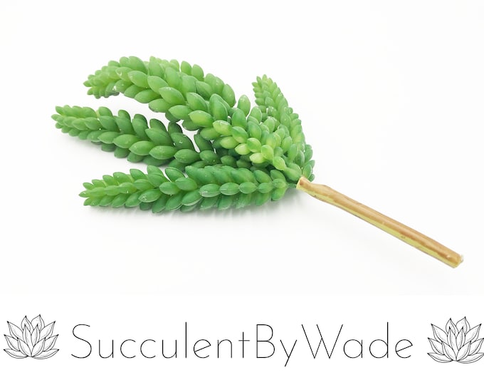 Faux Succulent Pick - Donkey Tail