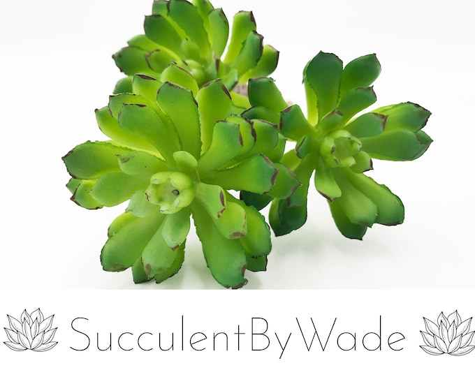 Faux Succulent Pick - Chick and Hen