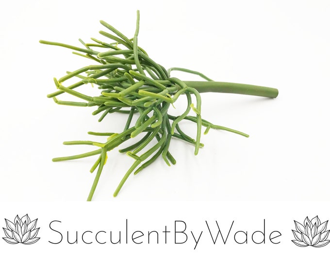 Faux Pencil Cactus Pick