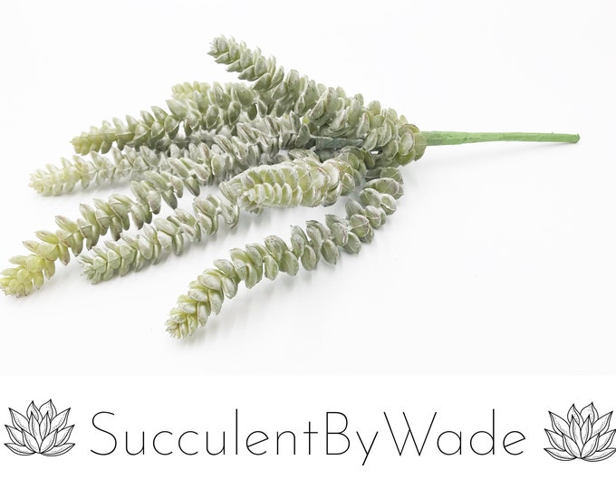 Faux Succulent Pick - Donkey Tail
