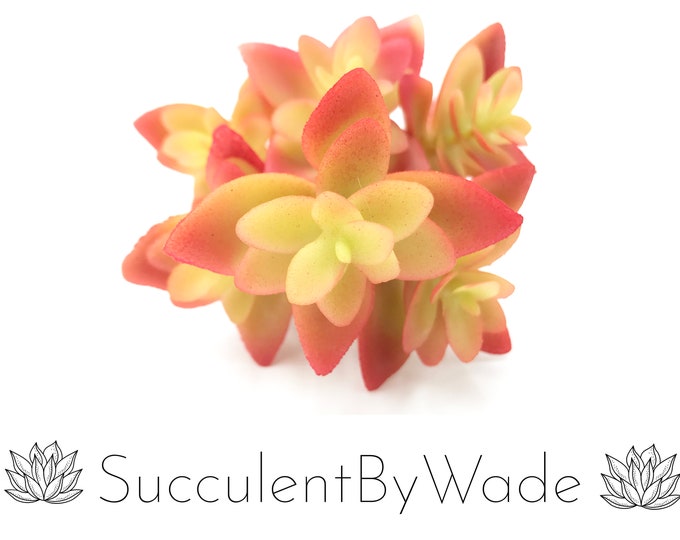 Faux Succulent Pick - Echeveria