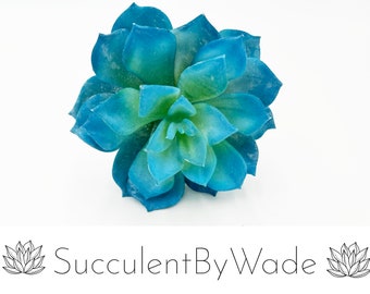 Sztuczny soczysty pick - Echeveria