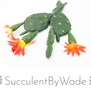 Pick di cactus di fico d'india finto