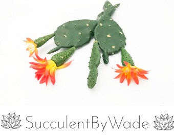 Faux Prickly Pear Cactus Pick