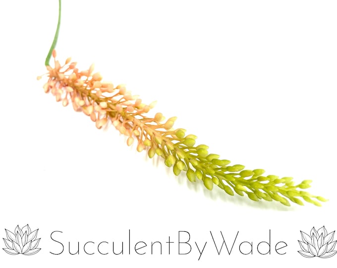 Faux Succulent Pick - Fox Tail