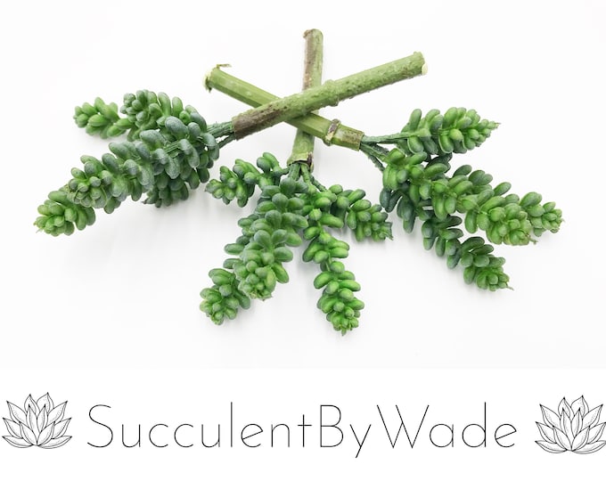 Faux Succulent Pick - Sedum