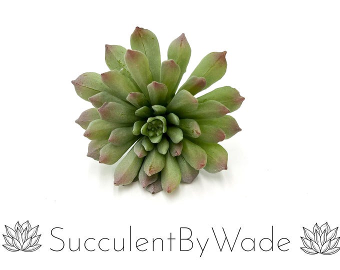 Faux Succulent Pick - Echeveria - Naturally Inspired Series