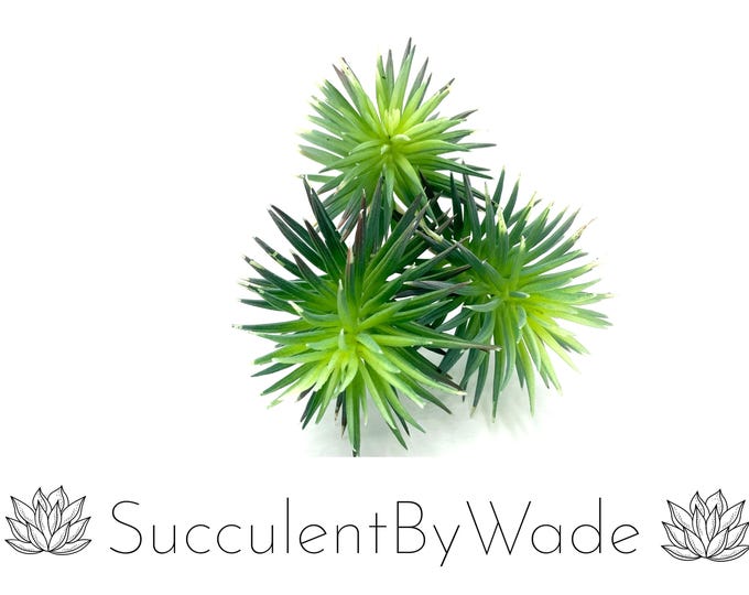 Faux Succulent Pick - Senecio