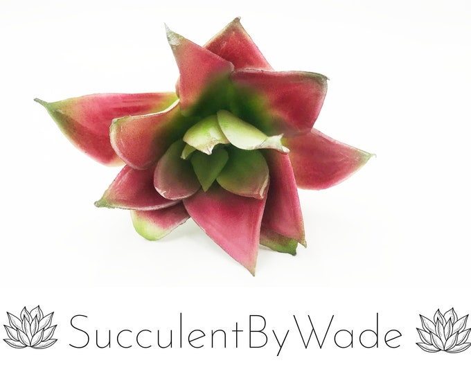 Faux Succulent Pick - Echeveria