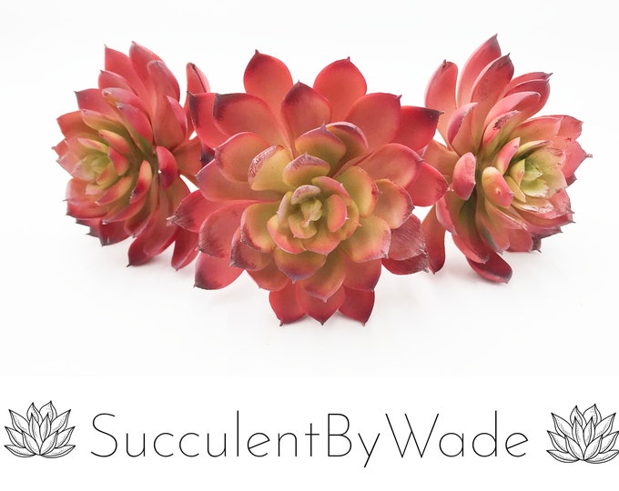 Faux Succulent Pick - Echeveria