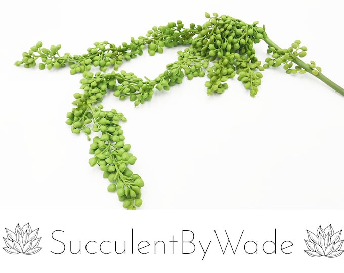 Faux Succulent Pick - String of Pearls