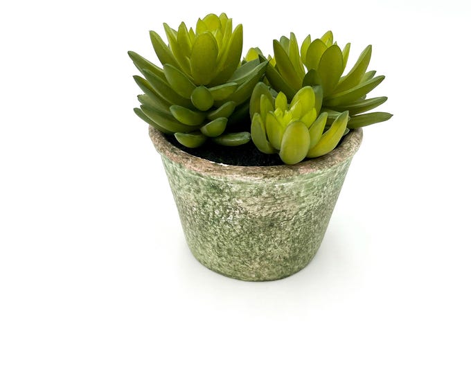 Beautiful faux succulent arrangement