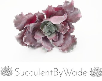 Faux Succulent Pick - Ruffled Echeveria