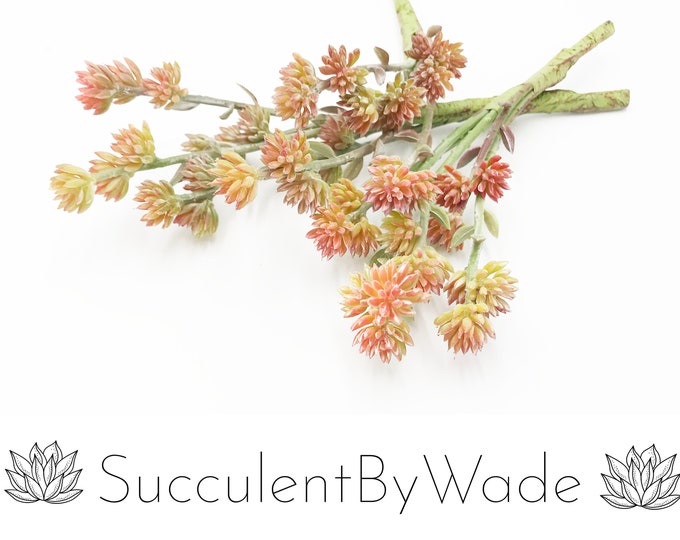 Faux Succulent Pick - Sedum
