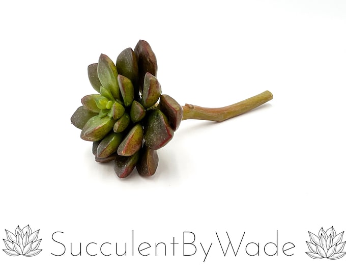 Faux Succulent Pick - Echeveria - Naturally Inspired Series