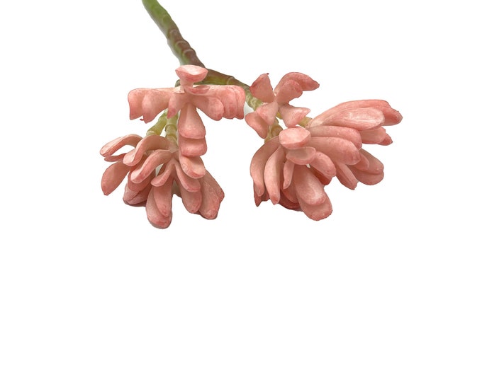 Faux Succulent Pick - Senecio