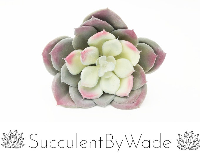 Faux Succulent Pick - Echeveria