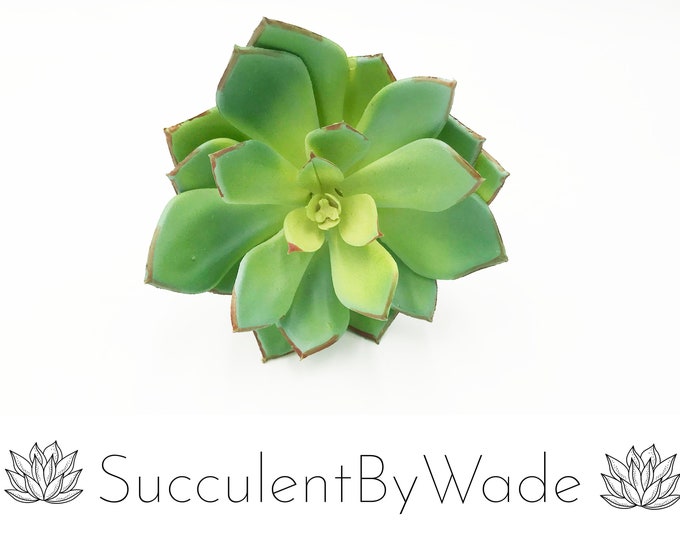 Faux Succulent Pick - Echeveria