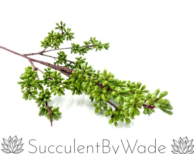 Faux Succulent Pick - Sedum