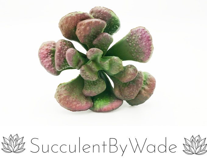 Faux Succulent Pick - Coral Reef Succulent