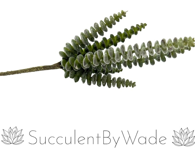 Faux Succulent Pick - Donkey Tail