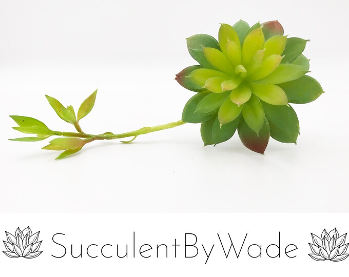 Faux Succulent Pick - Echeveria