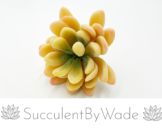 Faux Succulent Pick - Echeveria