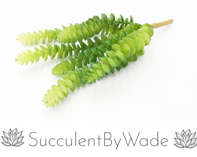 Faux Succulent Pick - Donkey Tail