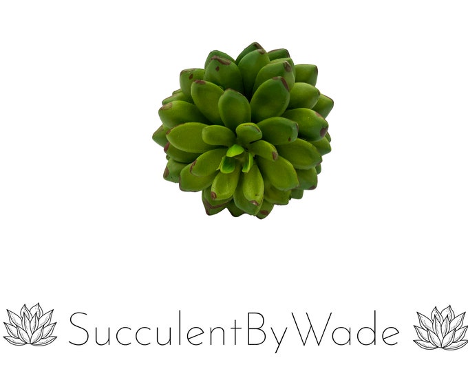 Faux Succulent Pick - Echeveria