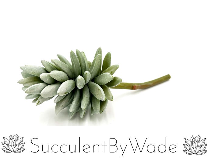 Faux Succulent Pick - Aeonium - Naturally Inspired Series