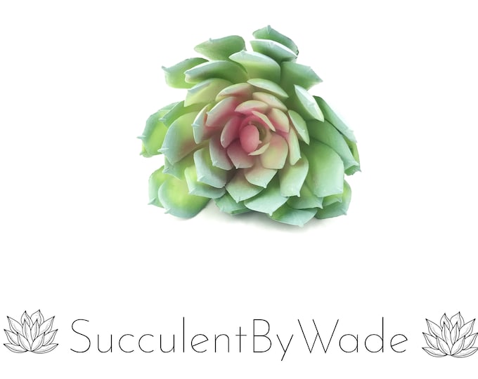Faux Succulent Pick - Echeveria