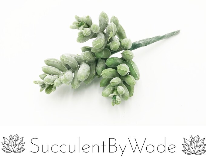Faux Succulent Pick - Sedum
