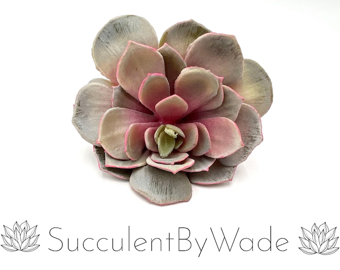 Faux Succulent Pick - Echeveria - Naturally Inspired Series