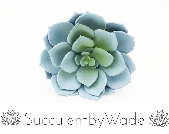 Faux Succulent Pick - Echeveria