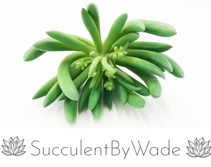 Faux Succulent Pick - Aeonium