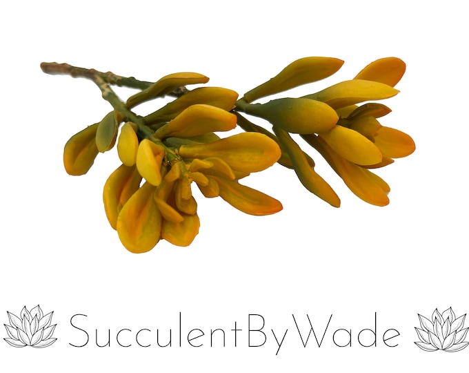 Faux Succulent Pick - Senecio