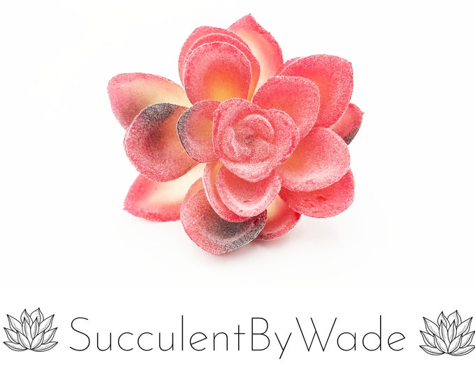 Faux Succulent Pick - Echeveria