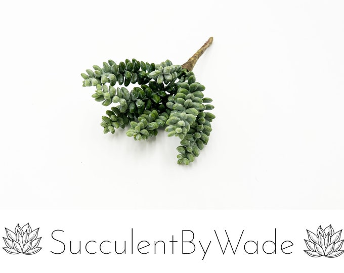 Faux Succulent Pick - Sedum