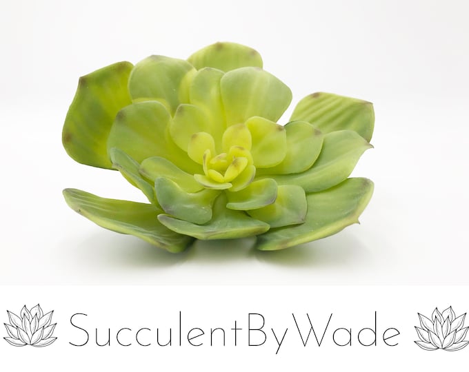 Faux Succulent Pick - Echeveria