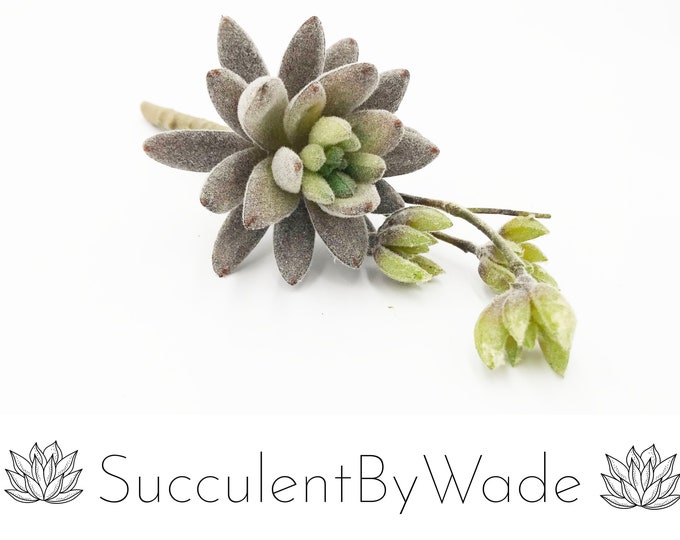 Faux Succulent Pick - Aeonium