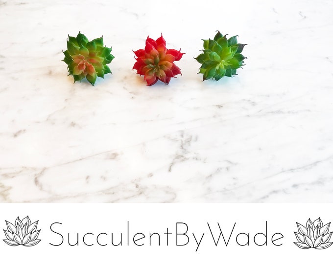 Faux Succulent Assortment of Picks - Echeveria - Set of 3