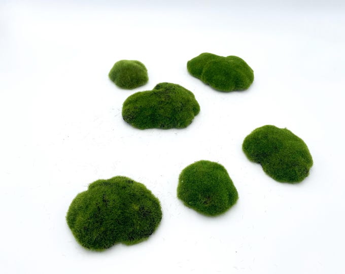 Beautiful faux succulent Moss - Set of 6