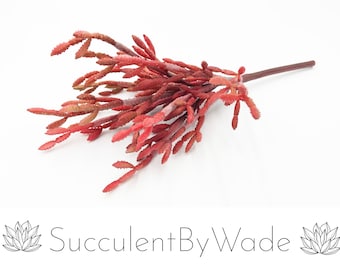 Faux Pencil Cactus Pick