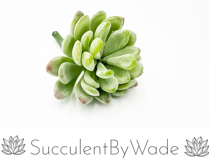 Faux Succulent Pick - Echeveria