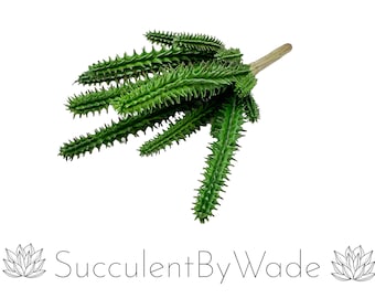 Faux Cactus Pick - Blooming Cactus