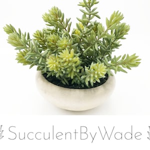 Wunderschönes künstliches Sukkulenten Arrangement