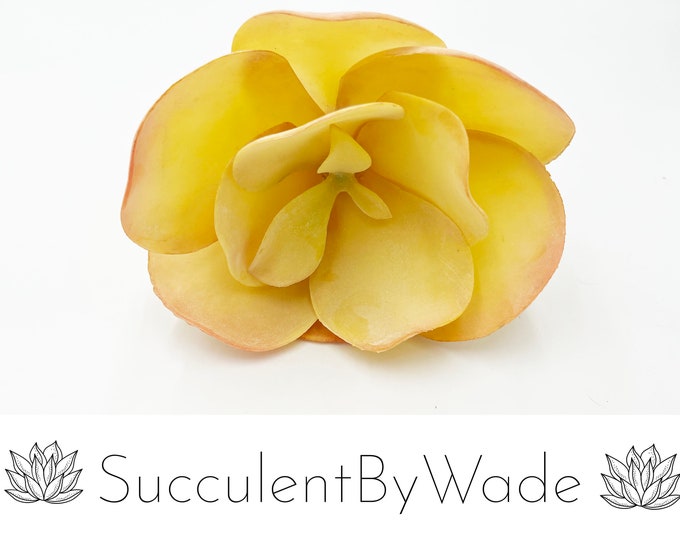 Extra Large Faux Succulent Pick - Echeveria