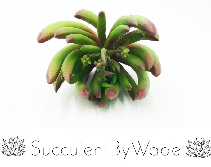 Faux Succulent Pick - Aeonium