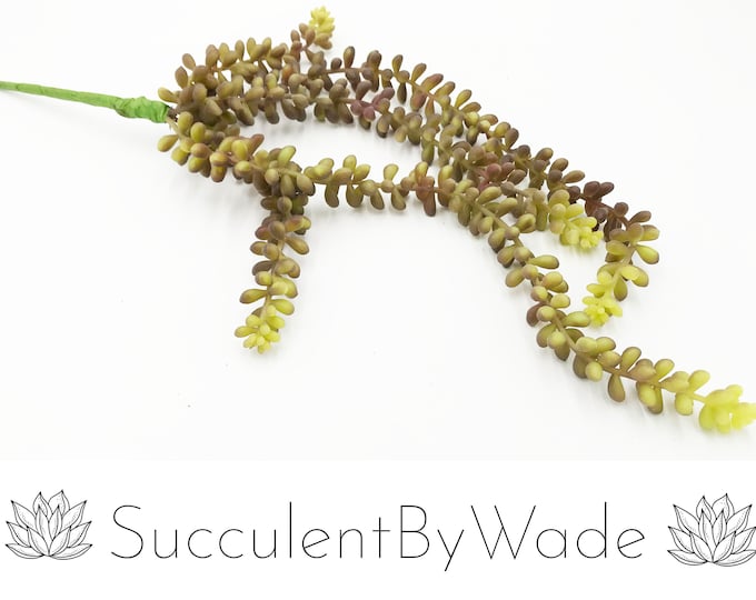 Faux Succulent Pick - String of pearls